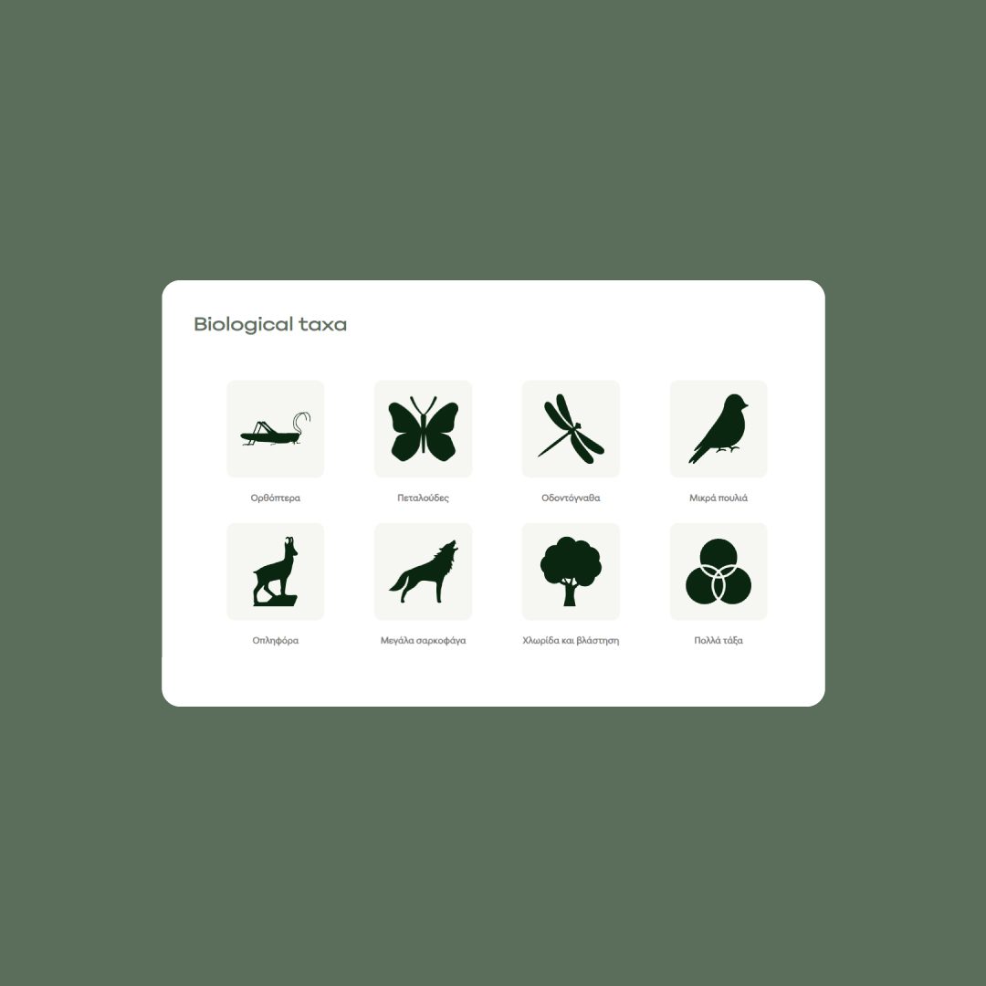 BC Lab_taxa1